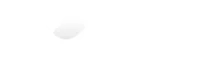 Vizy Logo White png (1)